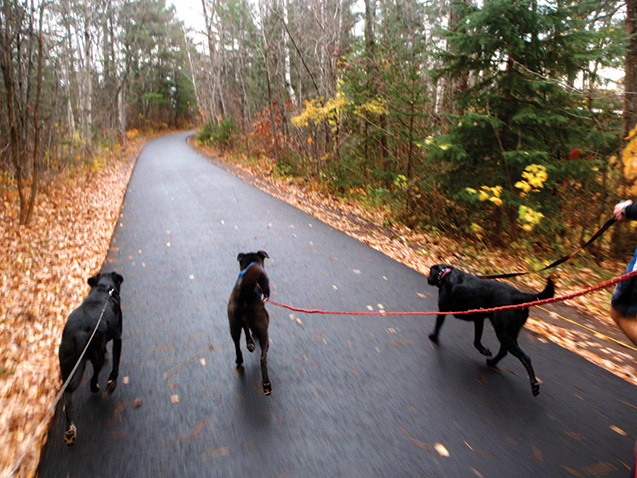 Wounded warrier run with dogs